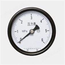 Y-60普通壓力表