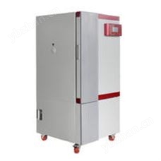 BXG-250藥品強光穩定性試驗箱BXG-250