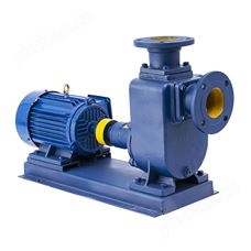 ZX250-400-50清水型自吸泵