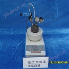微型高壓反應(yīng)釜WCGF-500ml