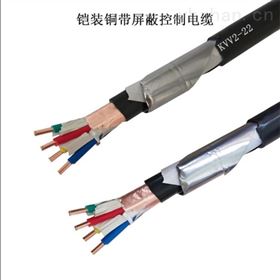 KVVP2-22铠装控制电缆450/750V质量及价格