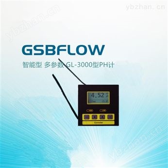 智能型GL-3000多參數(shù)PH計(jì)