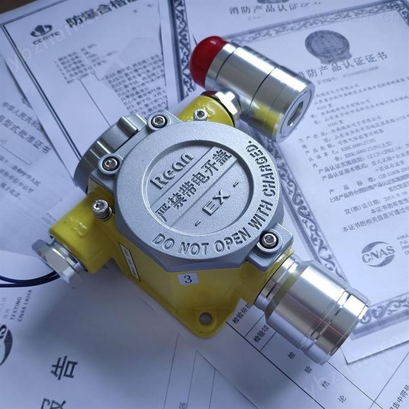 供應(yīng)rbk-6000-zl30型氨氣泄漏報(bào)警器 氨氣探測(cè)器報(bào)警儀價(jià)格
