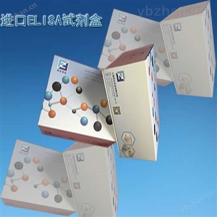 白介素12B（IL12B）检测试剂盒规格