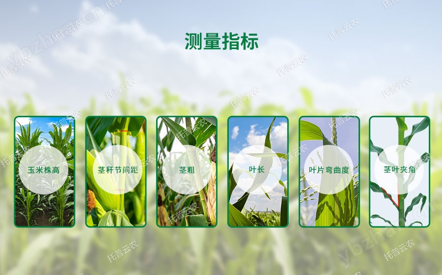 玉米株型分析系統(tǒng)適用范圍