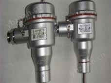 WX系列隔爆型热电偶