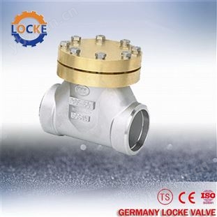 進口低溫不銹鋼止回閥