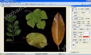 LA-S植物叶面图像分析系统