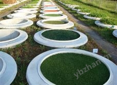 1000型土壤蒸渗监测系统