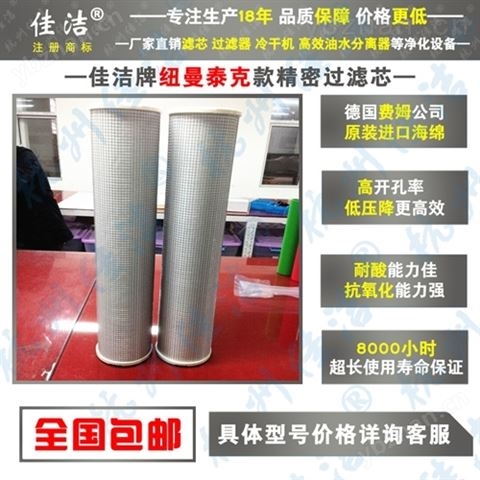 美國紐曼泰克濾芯 Pneumatech濾芯