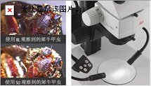 圖片.png